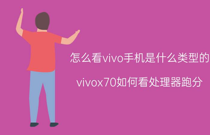 怎么看vivo手机是什么类型的 vivox70如何看处理器跑分？